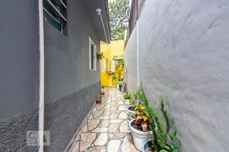 Casa à venda com 120m², 3 quartos e 2 vagas Casa à venda com 120m², 3 quartos e 2 vagasQuintal