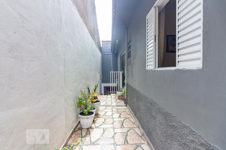 Casa à venda com 120m², 3 quartos e 2 vagas Casa à venda com 120m², 3 quartos e 2 vagasQuintal