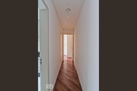 Corredor de apartamento para alugar com 1 quarto, 37m² em Limão, São Paulo