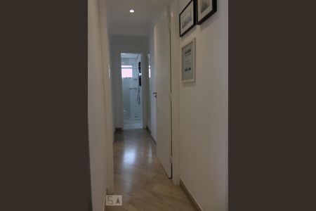corredor Quartos de apartamento à venda com 2 quartos, 50m² em Vila Ipojuca, São Paulo