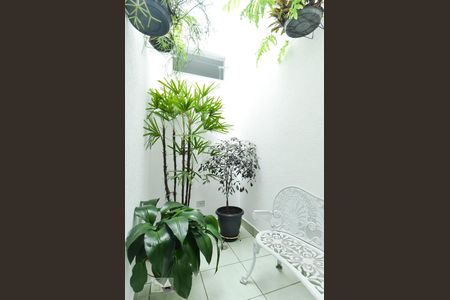 Jardim de Inverno  de casa à venda com 3 quartos, 162m² em Vila Galvão, Guarulhos