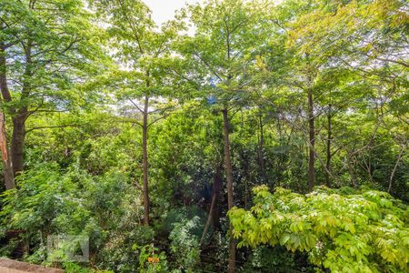 Vista quarto 2  de apartamento à venda com 2 quartos, 60m² em Santa Tereza, Porto Alegre