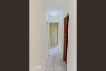 Corredor de apartamento para alugar com 3 quartos, 67m² em Vila Butantã, São Paulo