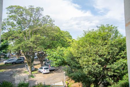 Vista Sala de apartamento à venda com 2 quartos, 62m² em Conjunto Residencial Parque Bandeirantes, Campinas