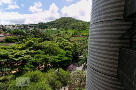 Vista de apartamento para alugar com 3 quartos, 92m² em Comiteco, Belo Horizonte