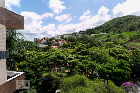 Vista de apartamento para alugar com 3 quartos, 92m² em Comiteco, Belo Horizonte