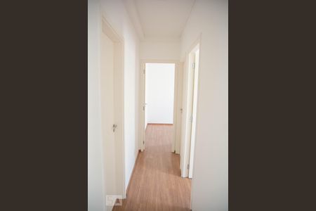 Corredor de apartamento para alugar com 3 quartos, 58m² em Jardim do Lago Ii, Campinas