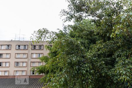 Vista da Sala  de apartamento à venda com 2 quartos, 58m² em Cambuci, São Paulo