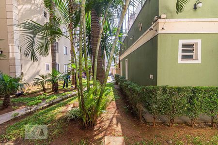 Sala de apartamento para alugar com 2 quartos, 55m² em Vila Sao Pedro, Santo André