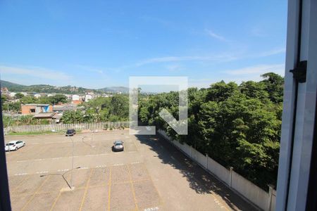 Vista do Quarto 1 de apartamento para alugar com 2 quartos, 40m² em Vila Nova, Porto Alegre