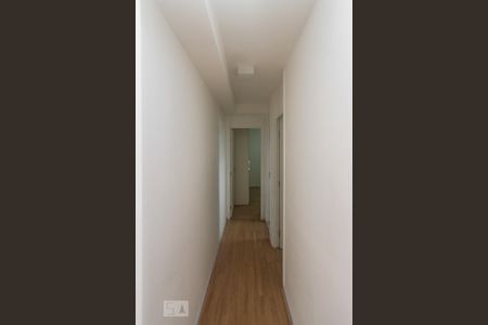 Corredor de apartamento para alugar com 2 quartos, 54m² em Vila Cunha Bueno, São Paulo