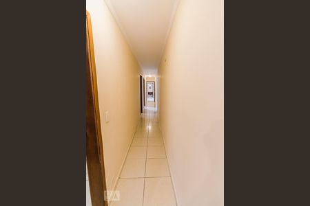 Corredor de casa para alugar com 2 quartos, 120m² em Vila Ipojuca, São Paulo