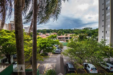 Vista do Quarto 1 de apartamento para alugar com 3 quartos, 87m² em Bosque, Campinas