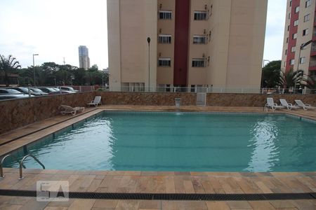 Área comum - Piscina de apartamento à venda com 4 quartos, 80m² em Vila Carlos de Campos, São Paulo