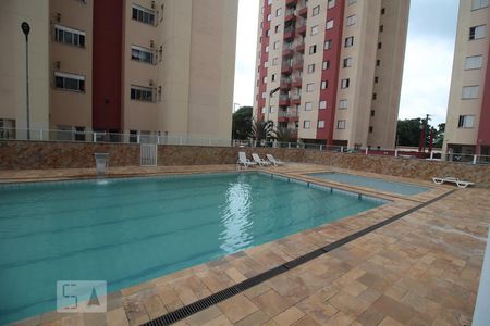 Área comum - Piscina de apartamento à venda com 4 quartos, 80m² em Vila Carlos de Campos, São Paulo