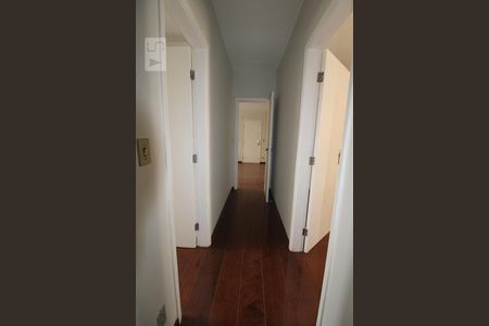 Corredor de apartamento para alugar com 3 quartos, 120m² em Jardim Proença, Campinas