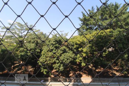 Vista da Sacada da Sala de apartamento para alugar com 3 quartos, 80m² em Bonfim, Campinas