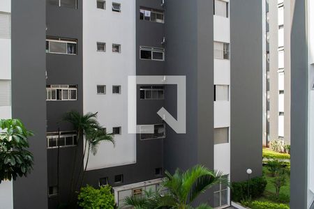 vista quarto 1 de apartamento para alugar com 2 quartos, 61m² em Jardim Mariliza, São Paulo