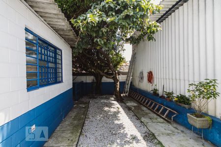 Casa à venda com 250m², 6 quartos e 11 vagas Casa à venda com 250m², 6 quartos e 11 vagasQuintal