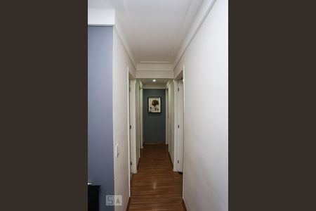 corredor de apartamento à venda com 3 quartos, 72m² em Vila Suzana, São Paulo