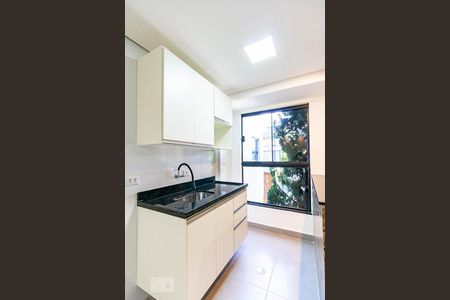 Cozinha - Armários de apartamento para alugar com 1 quarto, 35m² em Vila Ema, São Paulo