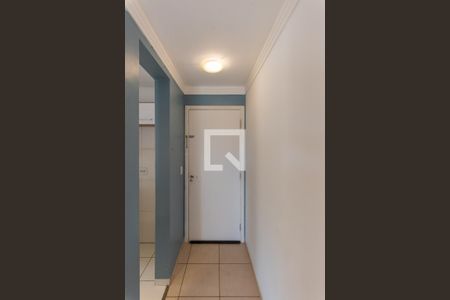 Hall de apartamento à venda com 2 quartos, 65m² em Jardim Nova Europa, Campinas