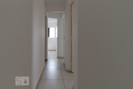 Corredor de apartamento para alugar com 1 quarto, 33m² em Vila Izabel, Curitiba