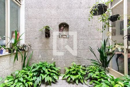 Jardim de inverno de casa à venda com 4 quartos, 400m² em Planalto Paulista, São Paulo