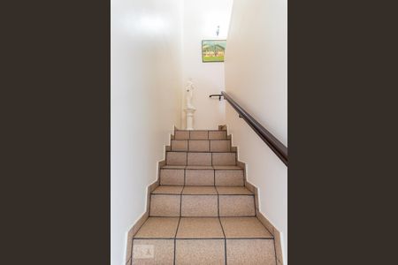 Escadaria de casa para alugar com 3 quartos, 166m² em Vila Arriete, São Paulo