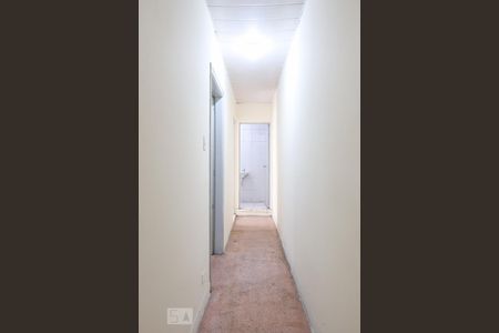 Corredor de apartamento para alugar com 2 quartos, 60m² em Vila Maria Luisa, São Paulo