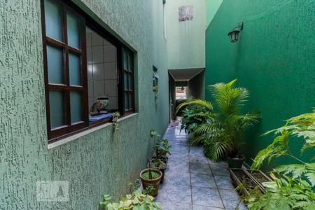 Casa para alugar com 246m², 3 quartos e 2 vagas Casa para alugar com 246m², 3 quartos e 2 vagasCorredor