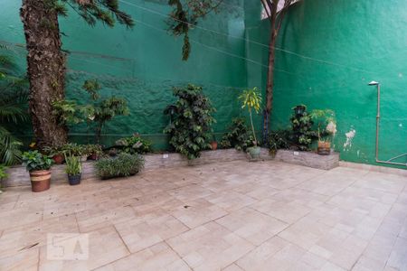 Casa para alugar com 246m², 3 quartos e 2 vagas Casa para alugar com 246m², 3 quartos e 2 vagasQuintal