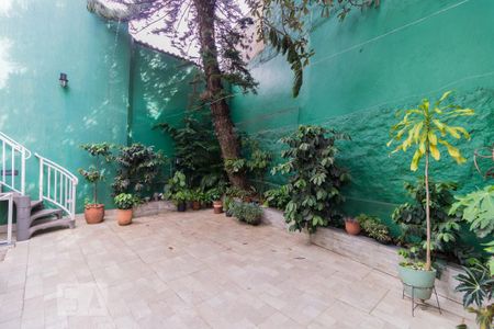 Casa para alugar com 246m², 3 quartos e 2 vagas Casa para alugar com 246m², 3 quartos e 2 vagasQuintal