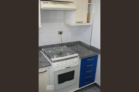 Cozinha - Fogão de apartamento à venda com 4 quartos, 120m² em Vila Santa Catarina, São Paulo