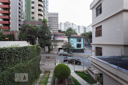 Vista da sala  de apartamento para alugar com 3 quartos, 110m² em Savassi, Belo Horizonte