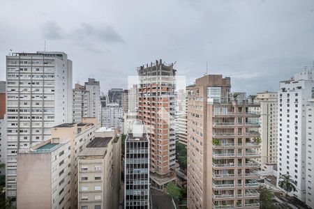 Sala - Varanda Vista de apartamento à venda com 4 quartos, 280m² em Jardim Paulista, São Paulo