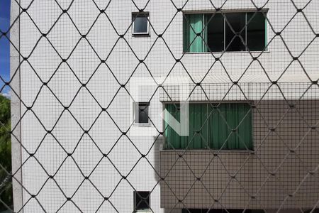 Vista do Quarto 1 de apartamento para alugar com 3 quartos, 90m² em Santa Rosa, Belo Horizonte