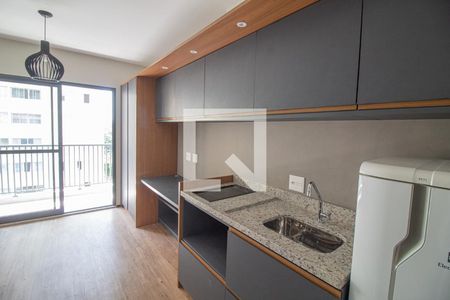 Cozinha de kitnet/studio para alugar com 1 quarto, 22m² em Jardim das Acácias, São Paulo