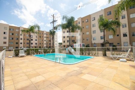 Área comum - Piscina de apartamento para alugar com 2 quartos, 42m² em Sarandi, Porto Alegre