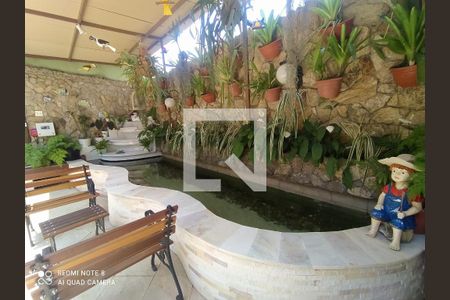 Casa à venda com 250m², 2 quartos e 3 vagas