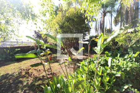 Casa à venda com 6 quartos, 523m² em Belvedere, Belo Horizonte