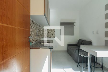 Kitnet/Sala e Cozinha  de kitnet/studio para alugar com 1 quarto, 30m² em Parque da Mooca, São Paulo