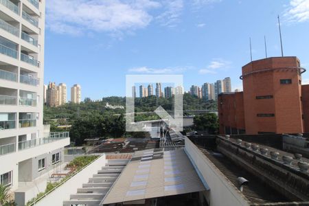 Vista janela da suíte de apartamento para alugar com 1 quarto, 29m² em Jardim Caravelas, São Paulo