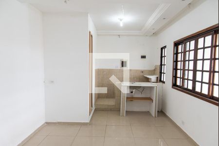 Sala/quarto/cozinha de apartamento para alugar com 1 quarto, 30m² em Ipiranga, São Paulo