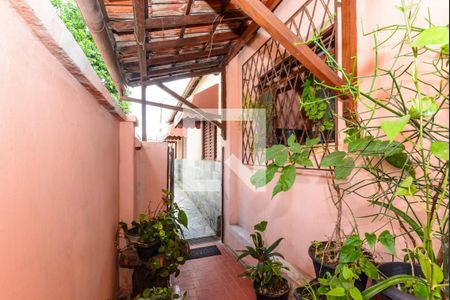 Casa à venda com 6 quartos, 200m² em Colégio Batista, Belo Horizonte