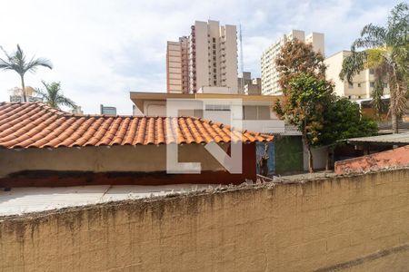 Vista da Sala de apartamento para alugar com 3 quartos, 110m² em Botafogo, Campinas