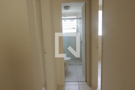 Corredor de apartamento para alugar com 2 quartos, 47m² em Vila João Jorge, Campinas