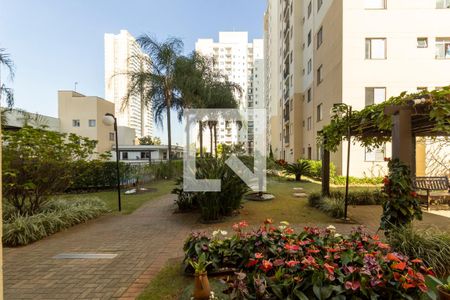 Vista da Varanda de apartamento para alugar com 2 quartos, 63m² em Quarta Parada, São Paulo