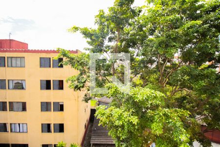 Apartamento para alugar com 65m², 3 quartos e 1 vaga Apartamento para alugar com 65m², 3 quartos e 1 vagaVista do Quarto 1