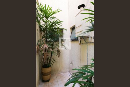 Jardim de Inverno de casa para alugar com 3 quartos, 198m² em Bangú, Santo André